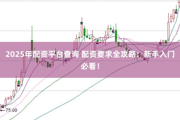 2025年配资平台查询 配资要求全攻略：新手入门必看！