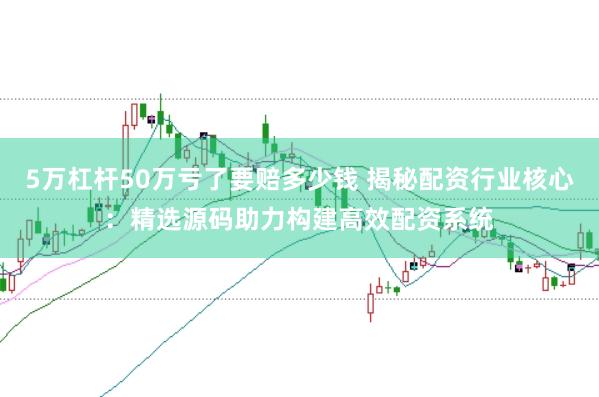 5万杠杆50万亏了要赔多少钱 揭秘配资行业核心：精选源码助力构建高效配资系统