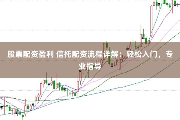 股票配资盈利 信托配资流程详解：轻松入门，专业指导