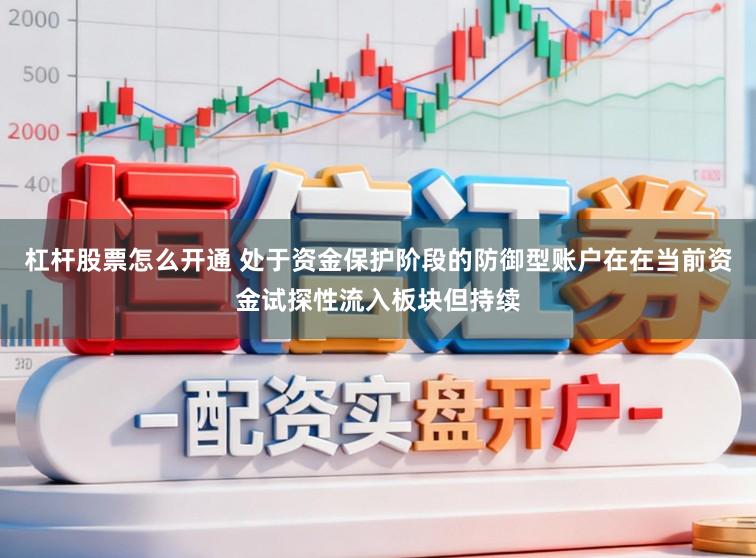 杠杆股票怎么开通 处于资金保护阶段的防御型账户在在当前资金试探性流入板块但持续