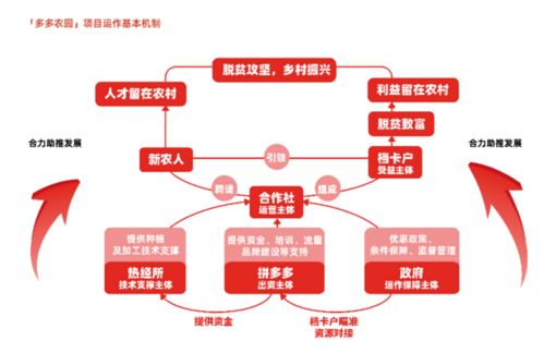 5年投入500亿,拼多多狠拼农业